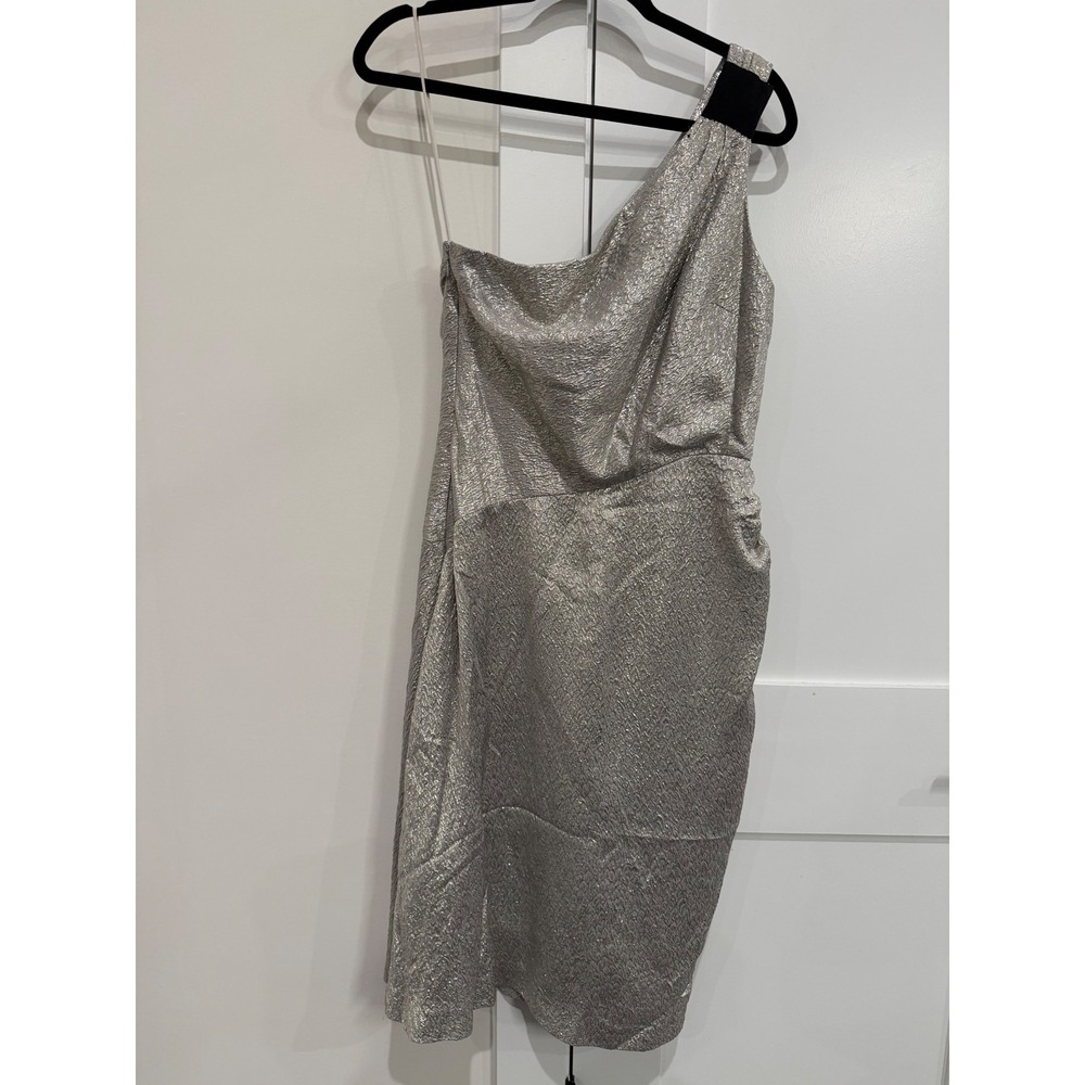 Carolina Herrera Sample Gown Womens S Silver Fair One Shoulder Metallic Designer